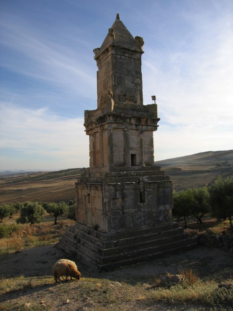 IMG_1010 IMG_1010