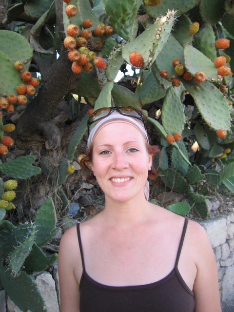 IMG_1016 IMG_1016