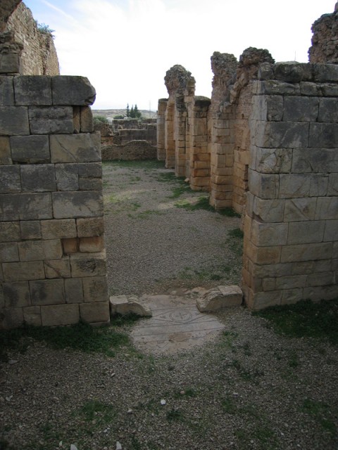 IMG_2011
