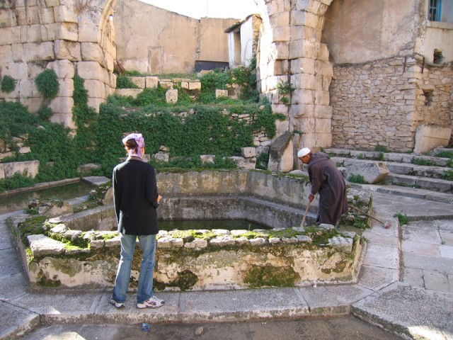 IMG_2076 IMG_2076