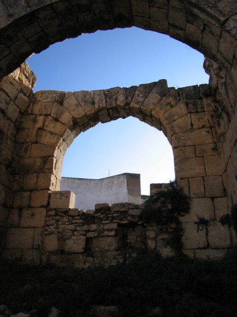 IMG_2080 IMG_2080