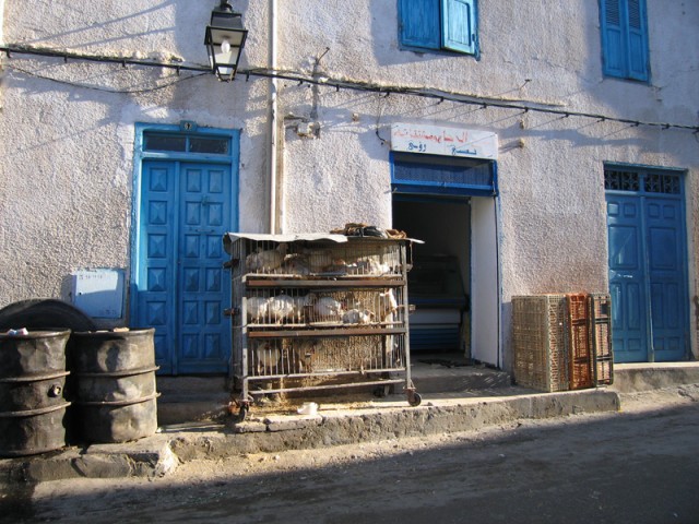 IMG_2094 IMG_2094