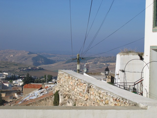 IMG_2110 IMG_2110