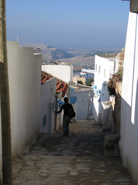 IMG_2111 IMG_2111