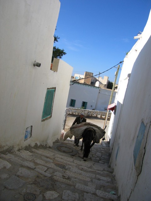 IMG_2116 IMG_2116