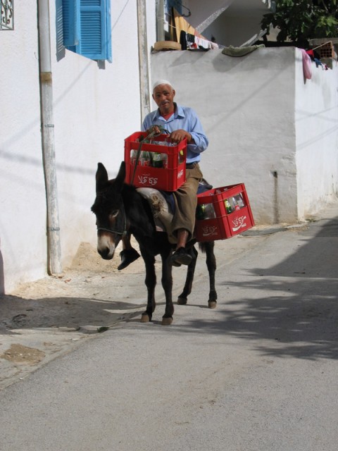 IMG_2143 IMG_2143