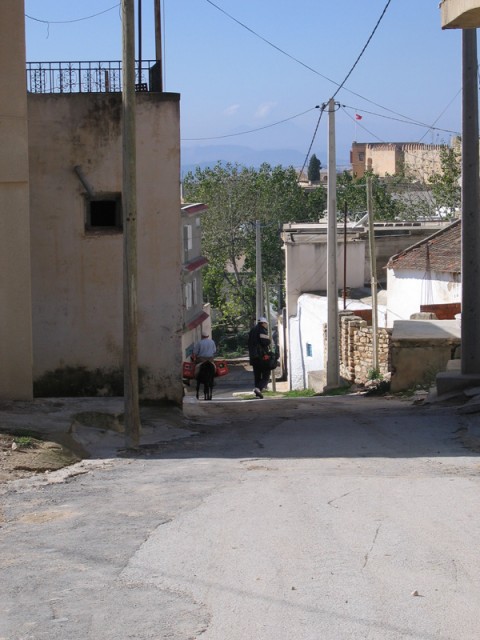 IMG_2145 IMG_2145