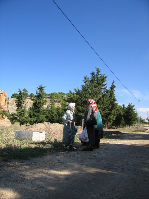 IMG_2152 IMG_2152