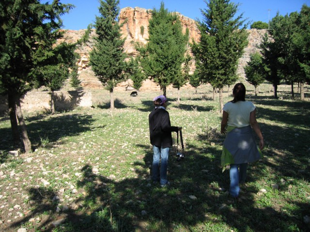 IMG_2154 IMG_2154