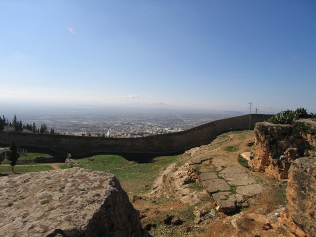 IMG_2157 IMG_2157