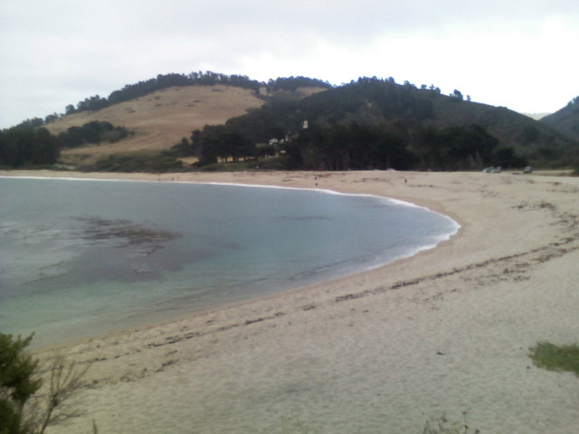 For our third dive we went to Monastery Beach.  At a later time I will post Alex's photos from this dive.