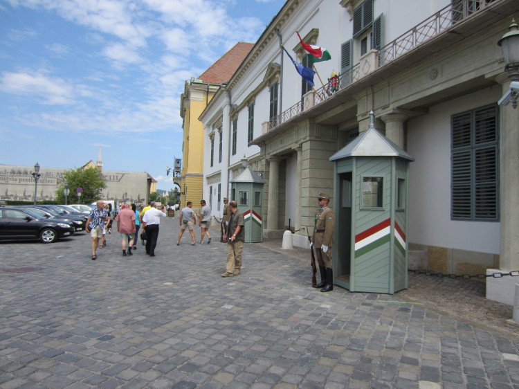 IMG_0387