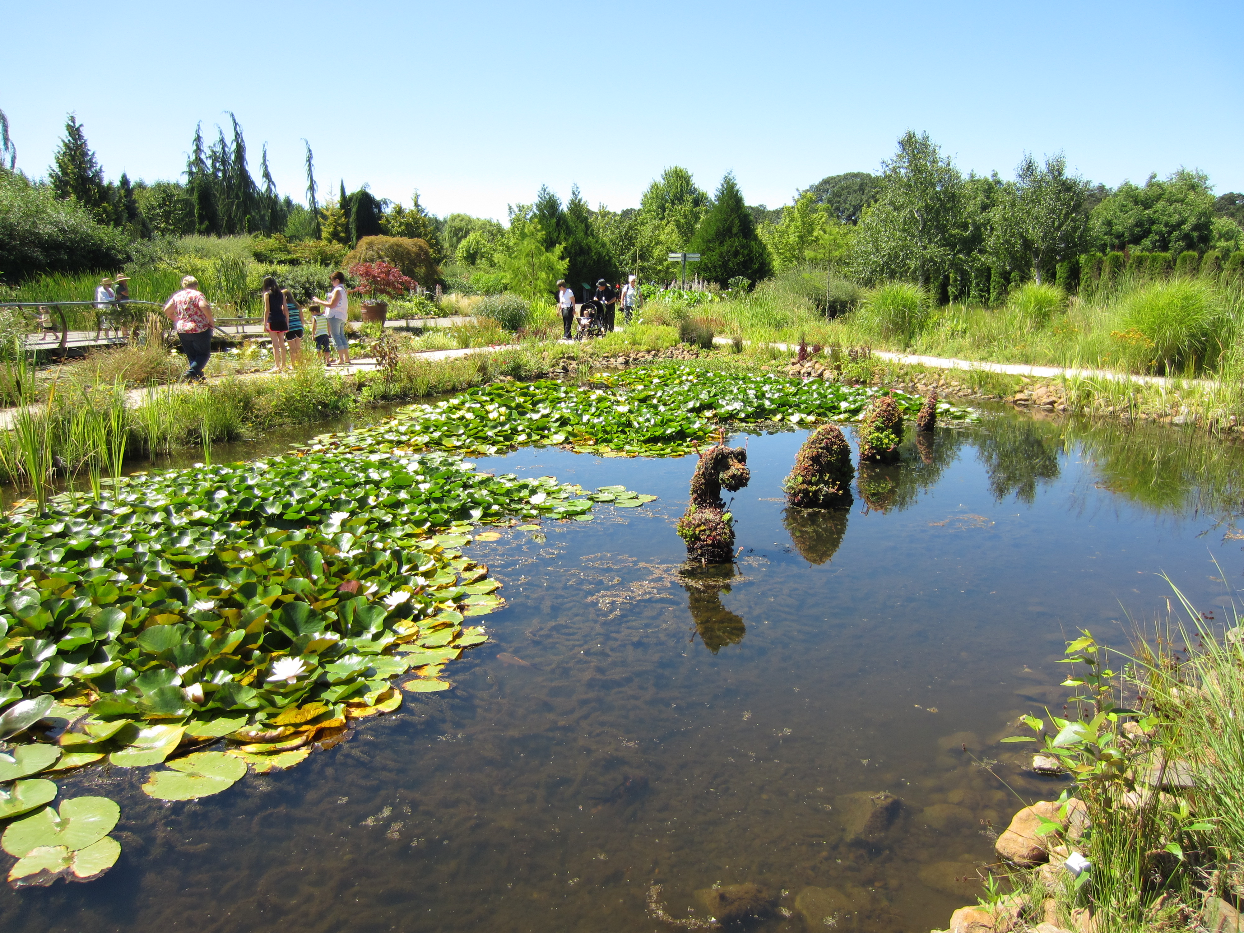 The Oregon Gardens Not Your Average Engineer