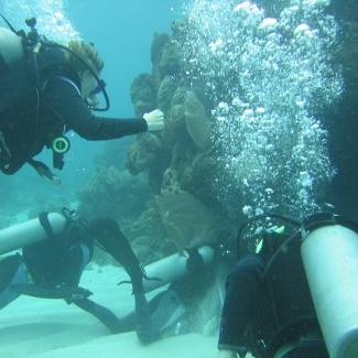 SCUBA Diving