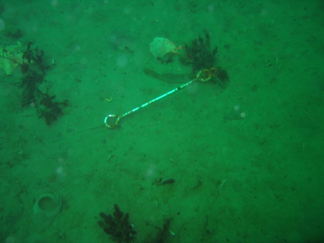 After a while we came upon an achor in the sand with a little plastic bottle tied off to it.  A line ran out into the murky water at a 90 degree angle from shore.  We decided that this must be the marker line to the shipwreck.  After following it at a fast swim for 15 minutes we found the other end of the line.  It was a dead end.  No ship, nothing interesting to look at, just sand.