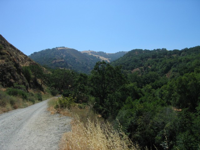 Little Yosemite isn't named for big granite domes.  All of the hills were small rolling affairs with no sign of large projections of rock.