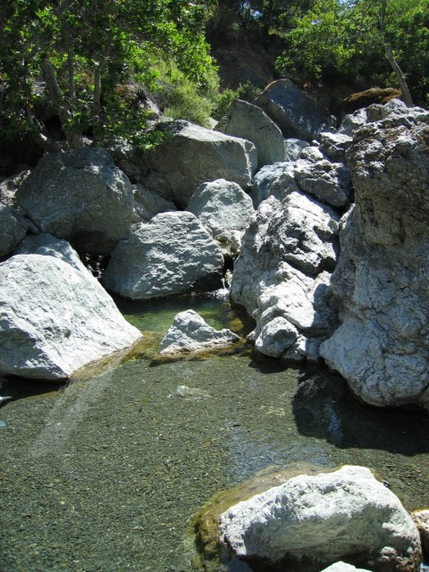 We went down to the rocks to check them out.  There was a nice crystal clear pool, too.