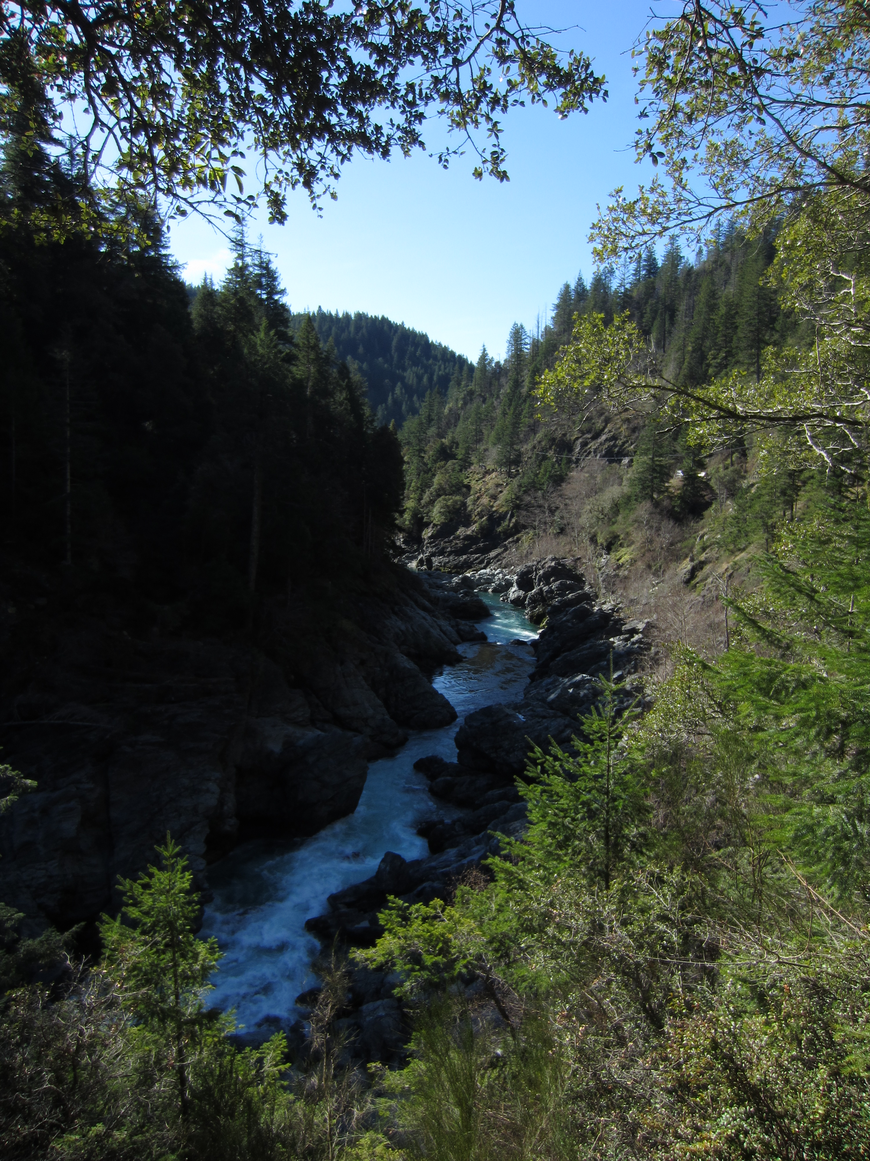 Driving up the Smith River to Oregon  Not Your Average 